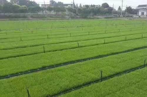 659e38eaf2108.jpg 微信圖片_2021032615030748.jpg