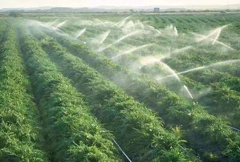 659e38faccca4.jpg 微信圖(tú)片_2021032615030747.jpg